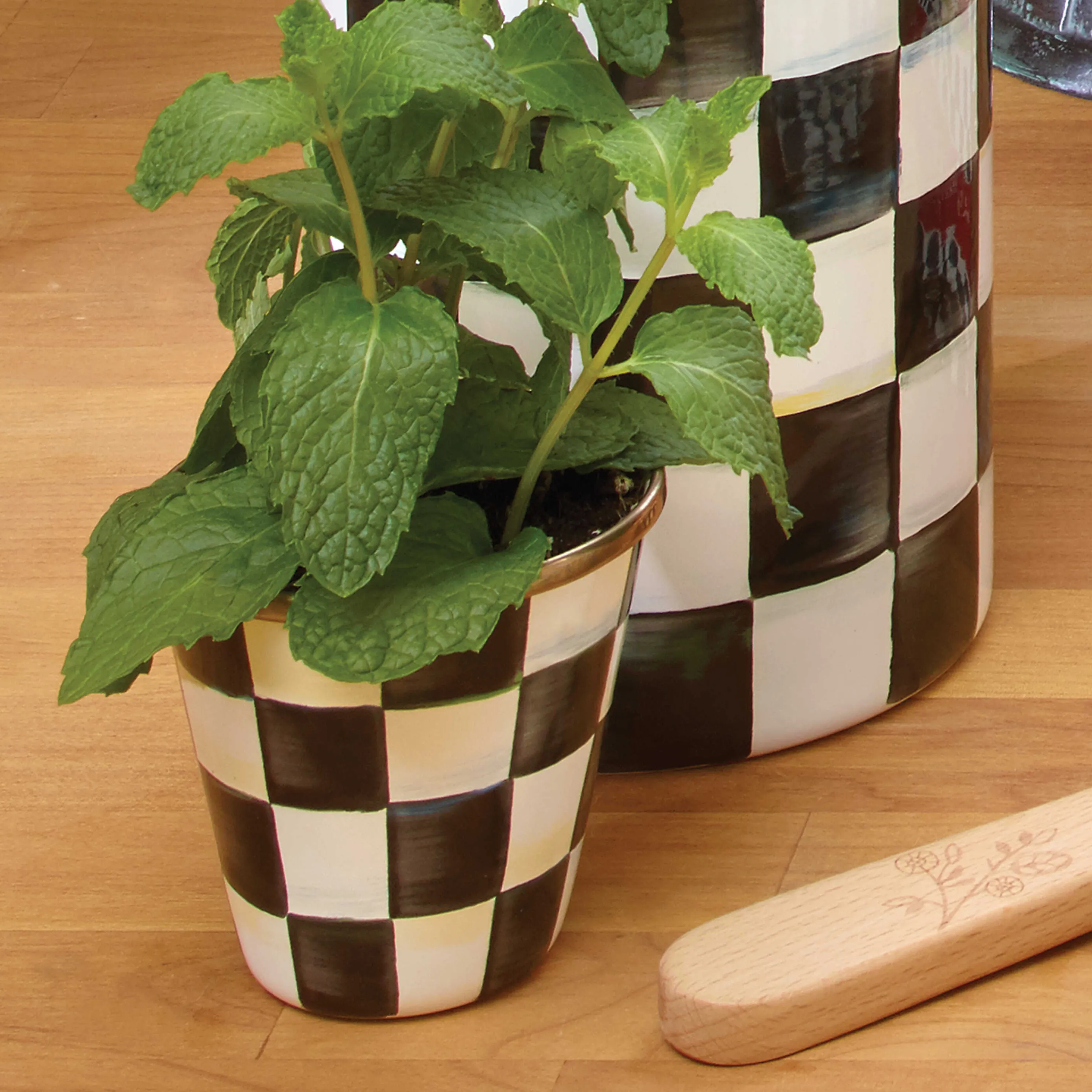 Courtly Check Enamel Herb Pots - Set Of 3