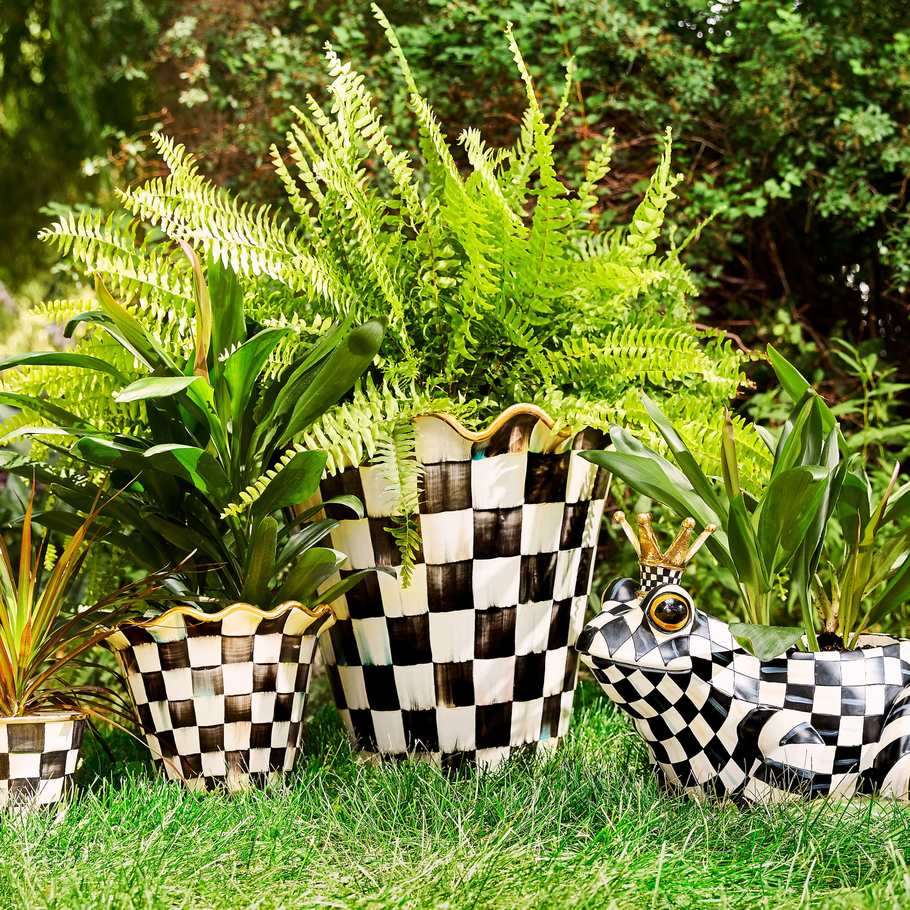 Courtly Check Garden Pot - 8