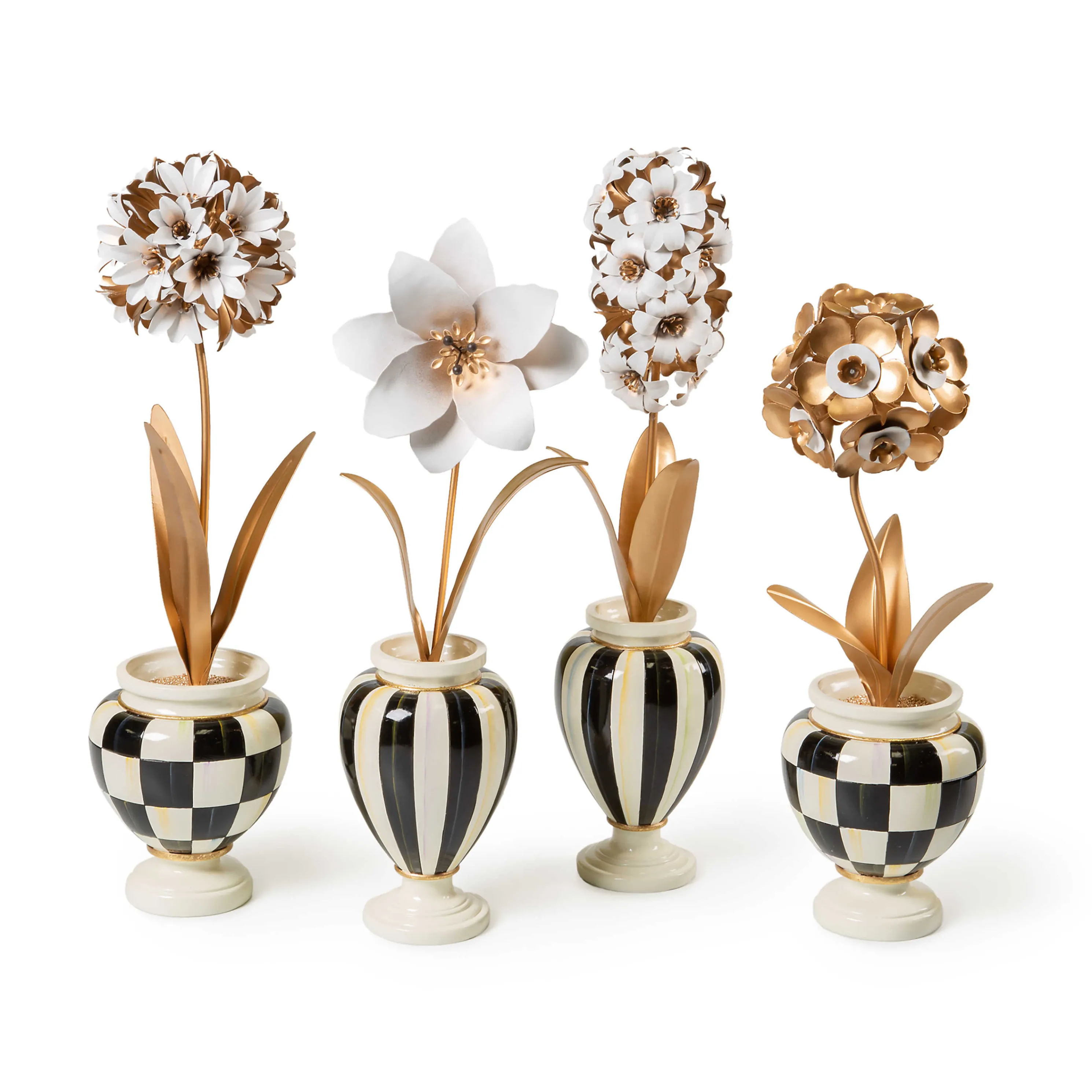 Marquee Potted Star Flower