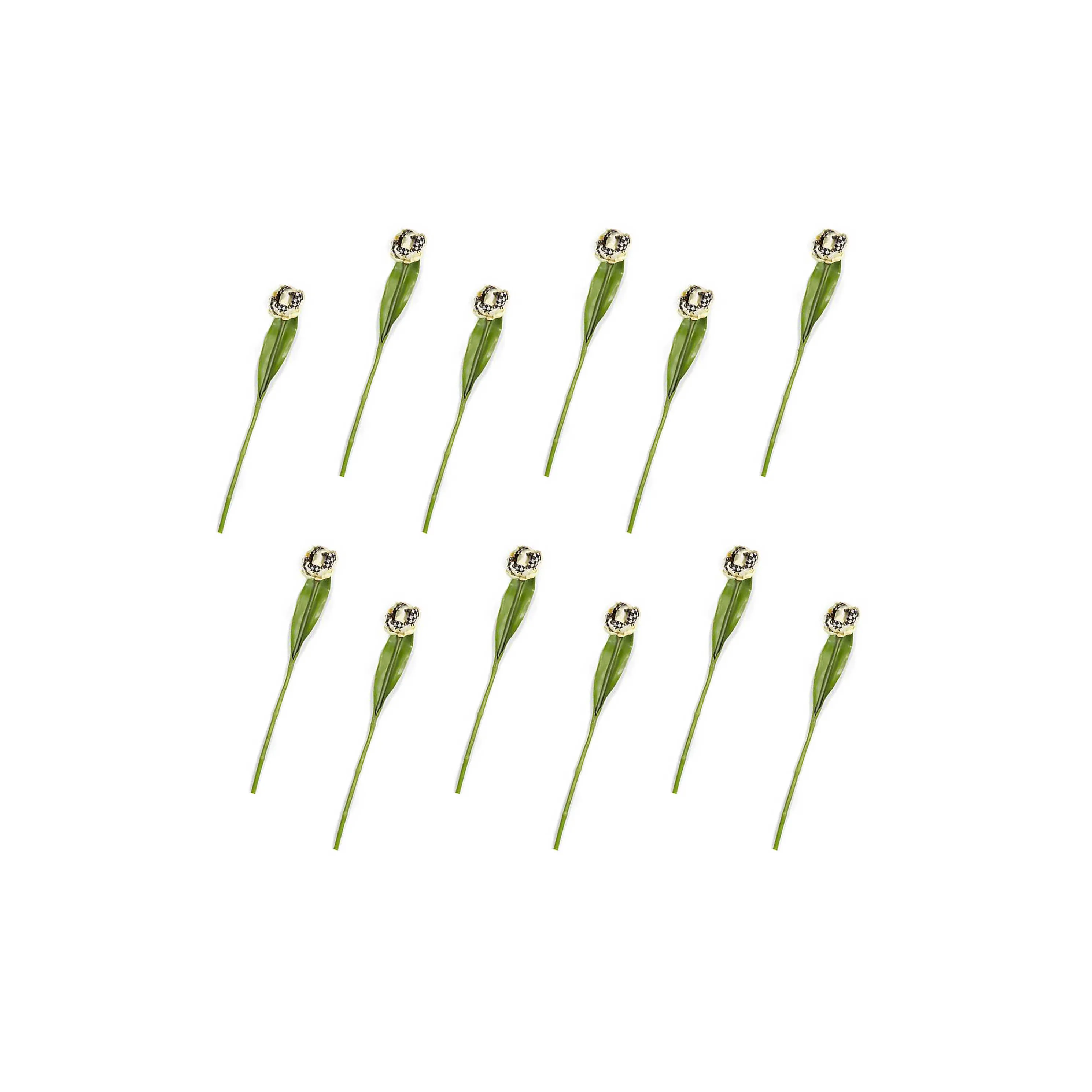 Parrot Tulip Bouquet - Yellow - Set Of 12